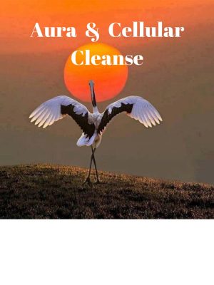 Aura and Cellular Cleanse
