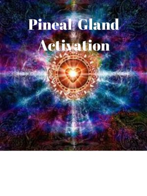 Pineal Gland Activation